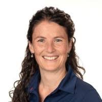 10+ "Scholtes" profiles