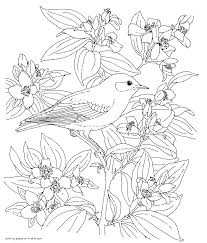 In this post you will find bird coloring pages, but if all the content of this website, including bird coloring pages is free to use, but remember that some. Bird Colouring Book Coloring Pages Printable Com
