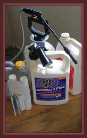 Our service technicians need your full cooperation to control these pests. Bed Bug Removal Checklist Outline Dengarden