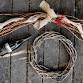 Grapevine Wreathmaking Class event image