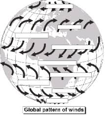 Some of the worksheets displayed are name date global and local winds 1 information, review work 1, lab activity on global wind patterns, skills work directed reading b lesson 15 3, chapter 15 section 3 global winds and. Wind Scavenger Hunt