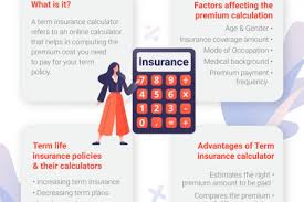 Term insurance calculator gives you a fair idea about how much you are required to pay for the required sum assured vis a vis your affordability and whether the chosen sum. Term Life Insurance Infographics Visual Ly