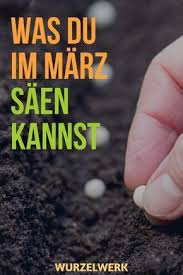 Aussaat Pflanzen Im Marz Beispiel Pflanzplan Wurzelwerk Pflanzplan Hochbeet Pflanzen Schrebergarten