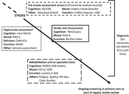 Cognitive And Mood Assessment Tools For Use In Stroke Stroke