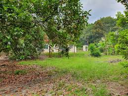 Dusun tua ialah sebuah perkampungan melayu yang paling tua, terletak di mukim hulu langat, selangor. Dusun Tua Hulu Langat Ejen Hartanah Tanah Untuk Dijual Rumah Untuk Dijual Jual Rumah Jual Tanah Ejen Tanah Di Cheras Ampang Kajang Bangi Semenyih Hulu Langat Petaling Jaya Usj