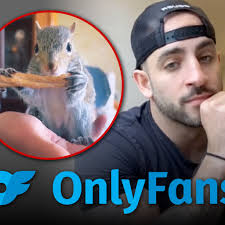 Peanut the Squirrel Raid May Have Actually Had To Do With Porn On OnlyFans