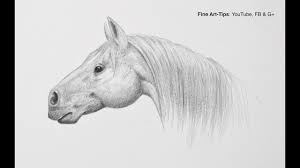 You probably want to learn how to draw a horse head. How To Draw A Horse Head Step By Step Easy Narrated Youtube