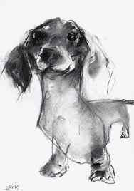 Dachshund Clube Valerie Davide Teckels Hond Tekeningen Dierentekening