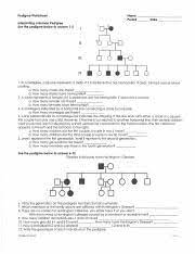 If clear, he has normal blood clotting. Bio Worksheet Pedigree Worksheet Name Period Date Interpreting A Human Pedigree Use The Pedigree Below To Answer 1 5 Ii Iii I In A Pedigree A Square Course Hero