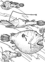 There's something about being in the water that fills people with fear. 31 Angler Fish Coloring Pages Ideas Angler Fish Coloring Pages Fish Coloring Page