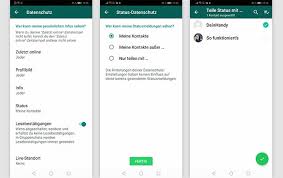 Tippe neben der statusmeldung, die du löschen möchtest, auf mehr. Whatsapp Status Verbergen So Funktioniert S
