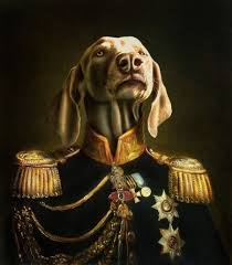 The 14 Brightest Vizsla Paintings Page 2 Of 3 Petpress Animal Portraits Art Pet Portraits Dog Art