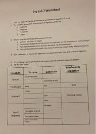You could buy lead digestion worksheet answers or acquire it as soon as feasible. Solved Pre Lab 7 Worksheet 1 T F The Stomach Is A Site O Chegg Com