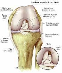 Access rights and access masks. Anterior Cruciate Ligament Tear Acl Tear The Institute For Athletic Medicine