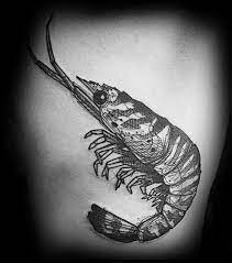 These sleeves make use of your entire arms or your legs to create a beautiful portrait of the sea. 40 Shrimp Tattoo Designs Fur Manner Oceanic Ink Ideen Mann Stil Tattoo Hand Tattoos Tattoo Designs Ink