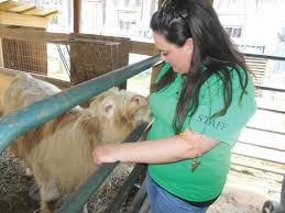 See more of carters farm mobile petting zoo and ponies on facebook. Petting Zoo Big Attraction At Heritage Farm Museum And Village News Dailyindependent Com