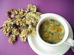 Benefits Of Chrysanthemum Tea Good Eyes Cool Down Body Heat And Relieve Head Chinese Herbal Tea Cholesterol Lowering Foods Chrysanthemum Tea