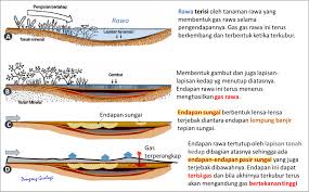 Horison a merupakan lapisan tanah permukaan setebal 25 cm atau kurang, berwarna lebih gelap dibanding horison di bawahnya, dan banyak dipengaruhi oleh aktivitas biologi. Airtanah Apa Dan Bagaimana Mencarinya Dongeng Geologi