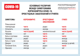 В чем разница между коронавирусом и обычным гриппом? Kak Razlichiyutsya Osnovnye Simptomy Koronavirusa Covid 19 Prostudnyh Zabolevanij I Grippa Novosti Irkutska Irkutskoj Oblasti