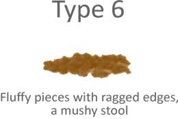 Size Shape And Consistency Of Your Poo What Could This