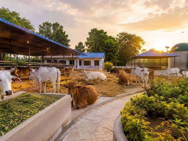 गौशालाओं को आत्मनिर्भर बनाना