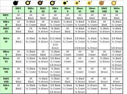 Genetics Behind Coat Color Novas Standard Poodles