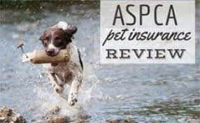 Each type of plan can apply to either a dog or cat, and prices are different depending on which type of animal you intend to cover. Aspca Pet Insurance Reviews Coverage Quote Cost App Complaints Promo Code How To Cancel And More Caninejournal Com