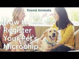 How to register my dogs microchip. How To Register Your Pet S Microchip Youtube