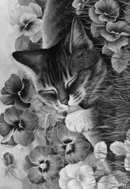 Pin By Jessica Perry On Cats And Dogs Grayscale Coloring Grayscale Coloring Books Animal Coloring Pages