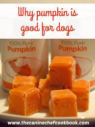 Check spelling or type a new query. Can Dogs Eat Pumpkin The Canine Chef Cookbook