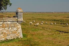 Remparts De Brouage A Hiers Brouage Monuments Monuments Historiques Les Plus Belles Villes