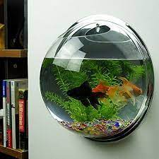 Memelihara ikan hias di meja kerja dengan aquarium kecil dan unik, itu mangharuskan kalian memilih jenis ikan hias yang bisa bertahan hidup tanpa oh ya ini adalah kisaran, yang jual aquarium bulat ini tentunya berbeda beda harganya setiap toko ikan hias satu dengan yang lainya, atau toko online. Harga Aquarium Mini Bulat