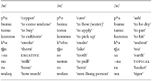 Sound System And Orthography In A Grammar Of Darma