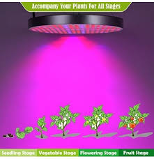 Maybe you would like to learn more about one of these? 50w Led Plant Grow Lights Ufo 250 Leds Indoor Plants Growing Light Bulbs Hydroponics Plant