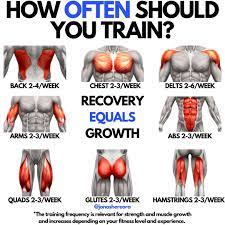 If you are beginner, you may be asking yourself, how many times a week should i go to the gym to see results. How Often Should You Train Each Muscle Group Push Pull Workout Workout Plan Gym Weight Training Workouts