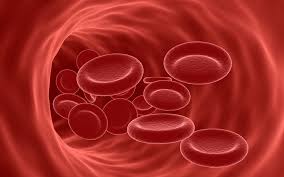 Image result for Anemia