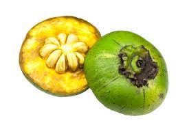 Zapote Negro Beneficios Propiedades Frutass Org