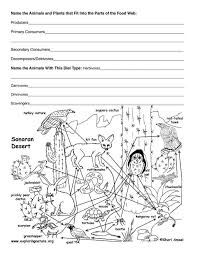 Desert Food Web Activity With Images Ecosistem Educație