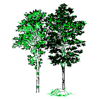 2478 free garden 3d models for download, files in 3ds, max, maya, blend, c4d, obj, fbx, with free plant tree garden 3d models are ready for lowpoly, rigged, animated, 3d printable, vr, ar or game. Cad Drawings Of Garden Landscaping Plant Trees Bushes Dwg Dxf
