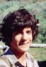 albert ingalls matthew laborteaux little house laura ingalls wilder albert