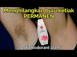Namun, jika kamu tekun, punya kulit ketiak cerah dan glowing bukan hal mustahil. Cara Menghilangkan Bulu Ketiak Alami Dan Permanen Diy Deodorant Alami Membuat Deodorant Alami Youtube