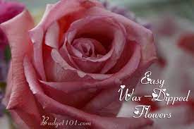 List of travel idioms and transport idioms with meaning, esl pictures and example sentences. Wax Dipped Flowers How To Preserve A Rose With Wax