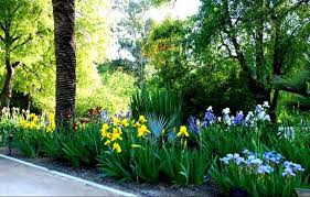 Wenn sie einen netten tee mit einem freund haben und aufholen möchten, können sie auch diesen bereich nutzen. Geschichte Sammlungen Und Vieles Mehr Des Real Jardin Botanico De Madrid Gartenarbeit Auf