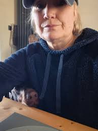 Far far away from home dinner 🍛