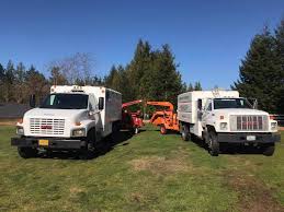 Take advantage of tree services in sugar hill or buford, ga. Arbor Pro Tree Service Reviews Facebook