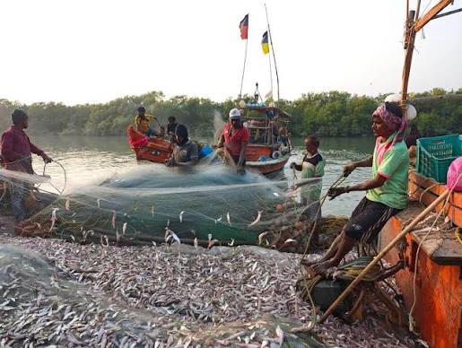 Fishing boats lie idle along the coasts of Mumbai and Goa as the ongoing West Asia conflict ripples into everyday livelihoods, forcing many fishermen to stay ashore. With rising fuel costs, safety