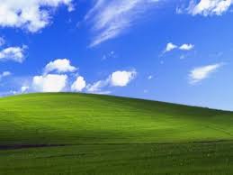 Windows Xp Bliss Wallpaper 891k629 Jpg Picserio Com If you're looking for the best windows xp wallpaper then wallpapertag is the place to be.