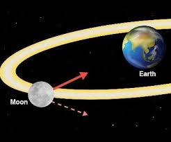 We did not find results for: Will Mark Brainliest The Diagram Shows The Moon And Earth In Space Which Is The Best Label For The Brainly Com