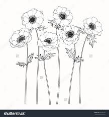 Anemone Flower Tattoo Black And White Anemone Flower Tattoo Flower Drawing Anemone Flower Anemone Tattoo