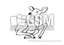 Reh Tiere Gemischt Tiere Zum Ausmalen Ausmalbilder Bildende Kunst Material Klasse 1 Grundschulmaterial De